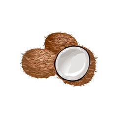 Vector illustration of a coconut whole, cracked into halves. Food symbol collection. Whole nuts and coconut kernels. Nutrition and agriculture concept. Vector icon on the white background.