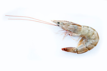 Fresh vannamei shrimp prawns seafood  on white background