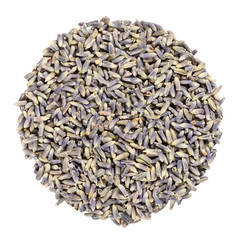 Dried lavender blossoms, herb circle from above, isolated, over white. Disc made of Lavandula angustifolia, with pale purple flowers, used as herb and for oil extractions. Closeup. Macro food photo.
