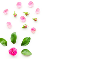 Rose flowers background. Rose roses on white background top view space for text border