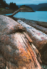 The beautiful and stunning scenery of the West Coast and Pacific North West of British Columbia Canada Fine art photography