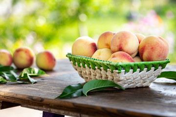 harvest of ripe peaches