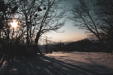 Beautiful, magic landscape; snow and soft sunrise pink light. Nobody around, just peace