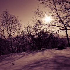 Beautiful, magic landscape; snow and soft sunrise pink light. Nobody around, just peace
