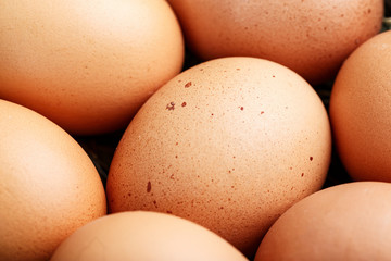 chicken eggs closeup