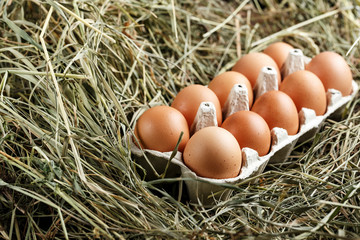 chicken eggs in a tray in the straw