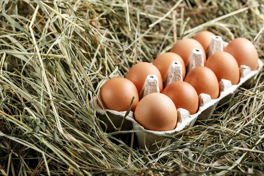 chicken eggs in a tray in the straw
