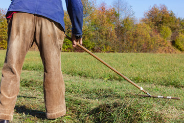 close look at senior farmer raking