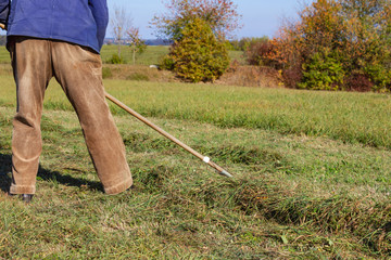 close look at senior farmer raking