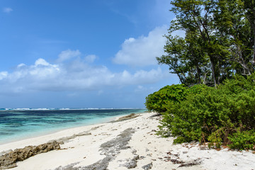 Fototapeta na wymiar Beach in the Seychelles