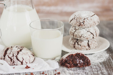 Handmade chocolate cookies, glass and jug with milk, blurred background