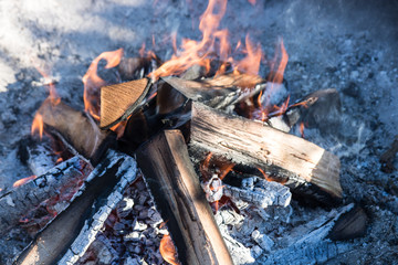 Home garden fire set up