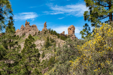 Fototapeta premium Rocky outcrops above forest (Roque nublo, Gran Canaria)