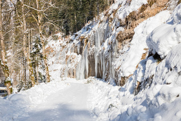 Fototapeta na wymiar Eiszapfen im Winter 