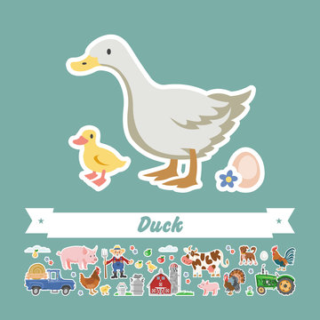 Cartoon duck vector flat illustration. Character isolated duckling and egg. Farming collection comic stickers.
