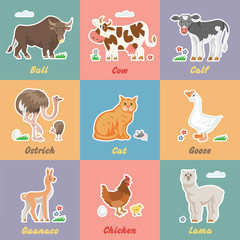 Funny farm animals with bull, cow, calf, ostrich, cat, mouse, goose, guanaco, chicken and lama. Collection of comic tile village pet vector illustration. Set of happy flat farming icon.