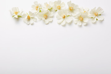 Floral composition. Beautiful flowers above isolated over white background. Spring pattern. Horizontal shot. Mockup shot