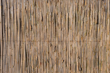 Bamboo fence