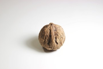 One whole walnut with shell just harvested from the tree isolated on white background  
