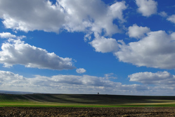 green field and blue sky