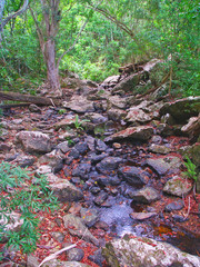 Surprise Creek Queensland Australia