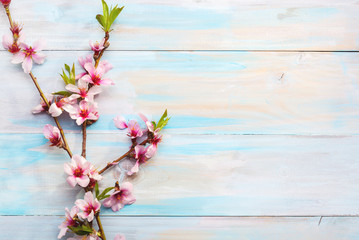 Flowering branches of Almond  on a wooden table.