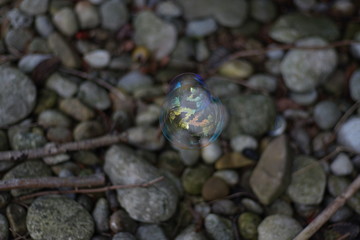 Reflecting soap bubble