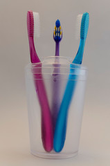 toothbrushes in bowl, family, couple