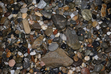Kiesel an einem Strand