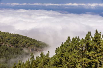 Wolkendecke &uuml;ber den Kiefernw&auml;ldern im Gebirge