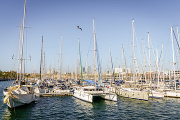 Fototapeta na wymiar Barcelona marina