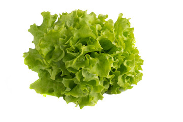 Juicy and green lettuce on white background