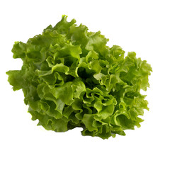 Juicy and green lettuce on white background, The concept of vegetarianism