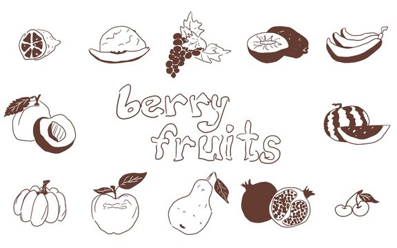 doodles fruit large selection on white background