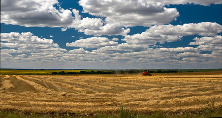 Harvest technics. Harvester. Farmland, sloping fields on a bright and Sunny day in summer.