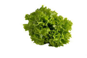 green lettuce on white background, The concept of health