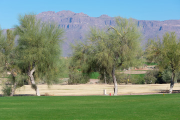 Golf course lined with trees and mountains in the background