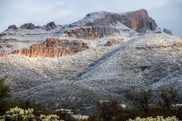 Snow in the desert in Tucson Arizona