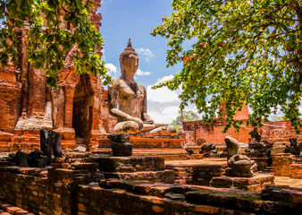 Thailand, stunning view of Buddha sculpture surrounded by trees in Ayutthaya old Temple

