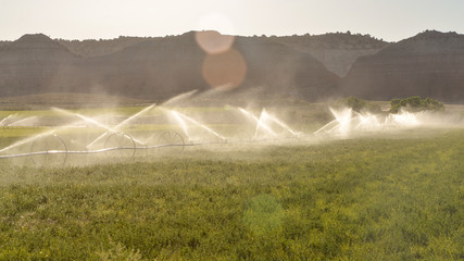 irrigation system watering farming lands in Cannonville, Kane county, Utah