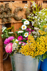 Fototapeta na wymiar nice garden flowers in the metal bucket