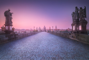 View of Charles bridge Prague, Czech Republic.