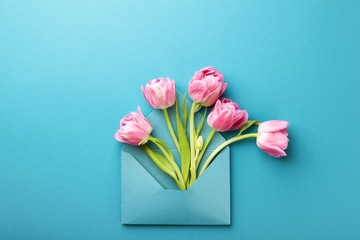Five pink tulips in turquoise envelope on turquoise background. Spring greeting card. Flat lay, top view.