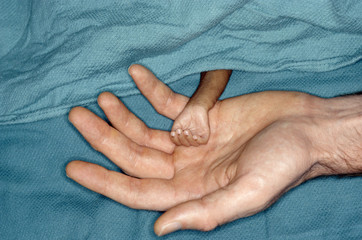 Premature baby hand in doctor's hand