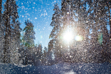 artistic sun flare snowfall cold