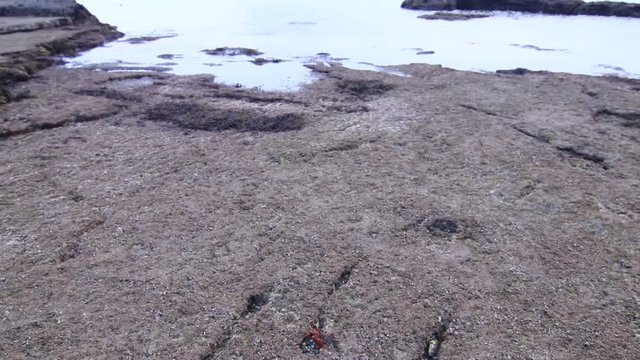 제주도 성산일출봉 그리고 섭지코지