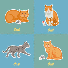 Cat cartoon set. Happy farming pet stickers collection. Kitten isolated.
