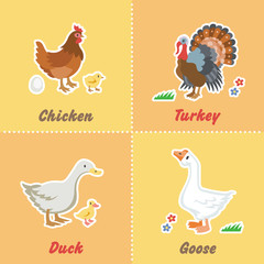 Cartoon set funny farm birds with chicken, turkey, duck and goose. Character farming pet stickers collection.