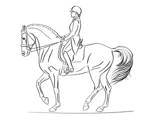Equestrian, dressage. Sketch of a rider and horse execute the piaffe.