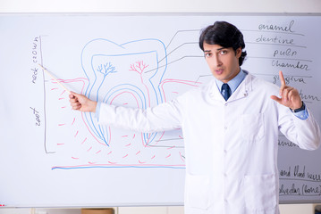Young handsome dentist in front of the whiteboard 